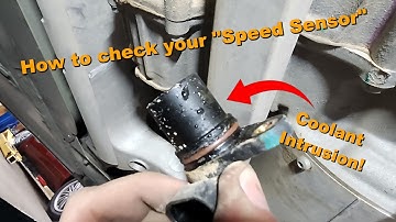 Tesla LDU "Speed Sensor" Check (For Model S and X)