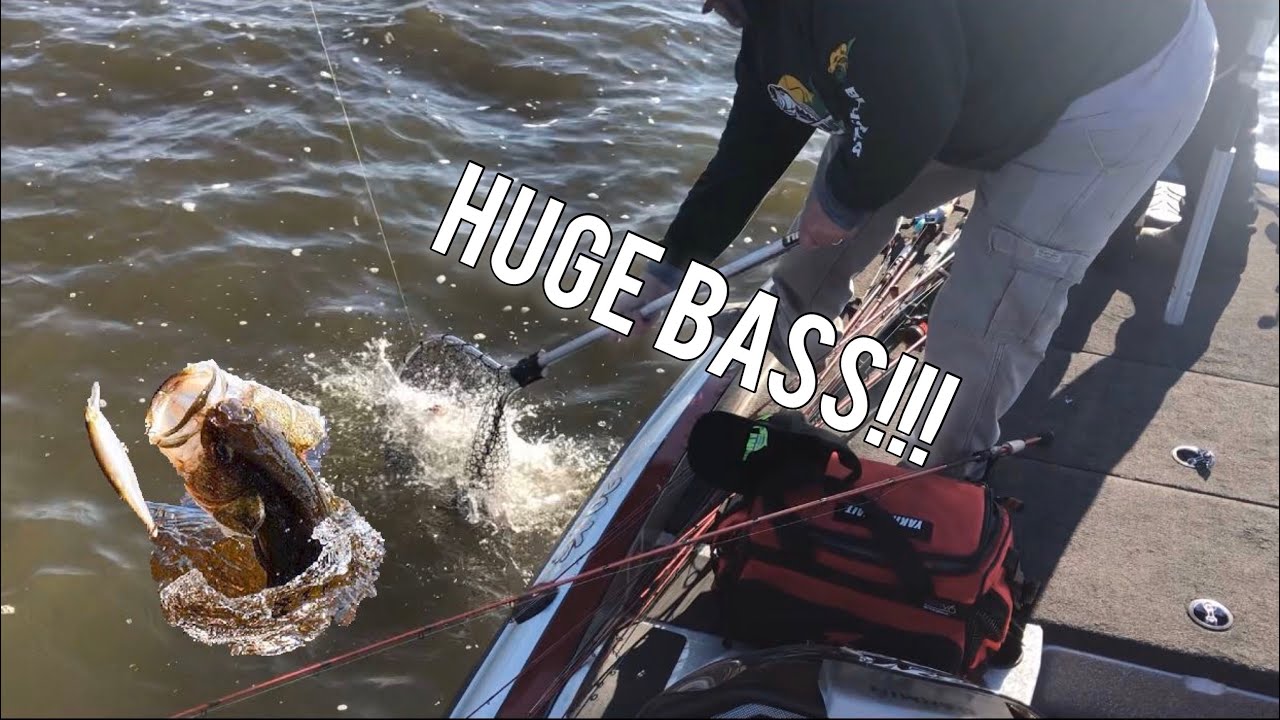 WE MESSED UP.....(LaCygne lake bass fishing) YouTube