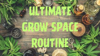 Discover the Ultimate Grow Space Routine for a Mind-Blowing Cannabis Harvest!