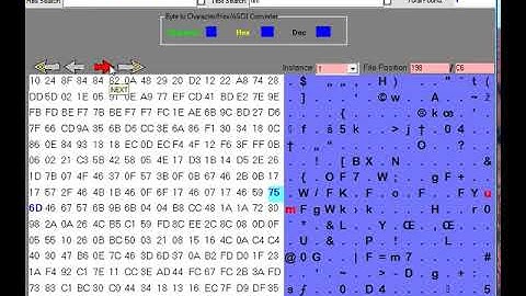 Progwhiz Hex Editor video 3