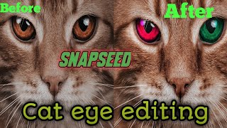 snapseed Cat eye editing |snapseed edit 😁. screenshot 3