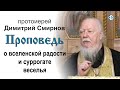 Проповедь о вселенской радости и суррогате веселья (2020.01.04)