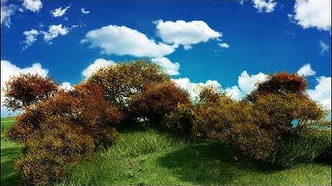 سورة ٱل عمران بصوت القارئ ياسر عبد الله عبد الحميد الفيومي