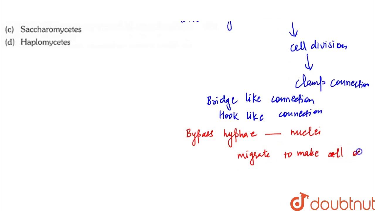 Clamp connection is found in YouTube