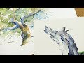 Dein Tutorial "Bäume im Aquarell" | Video zum Buch: "Das gelungene Aquarell"