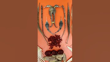 tứ hải long vương