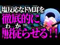 【スライム耳かきASMR】絶叫不可避の超高音圧で鼓膜逝く。脳がバグッたまま寝落ちしてください。Slime Ear Cleaning【優父ASMR】