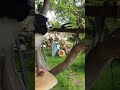 Целеустремленный Like собака 歌ってもらった Comedymemes топ Como Funnymemes Целеустремленный Like собака 歌ってもらった Comedymemes топ Como Funnymemes