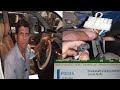 Crankshaft Position Sensor Faulty Maruti Suzuki wagnor || BRC CNG kit fitted ||