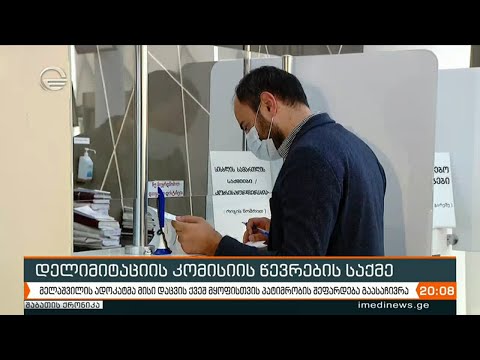 დელიმიტაციის კომისიის წევრების საქმე