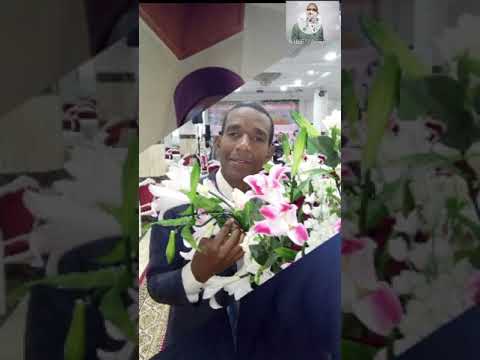 16 Décembre 2020محطات فنية في مسيرة الفنان البشير الخضار 