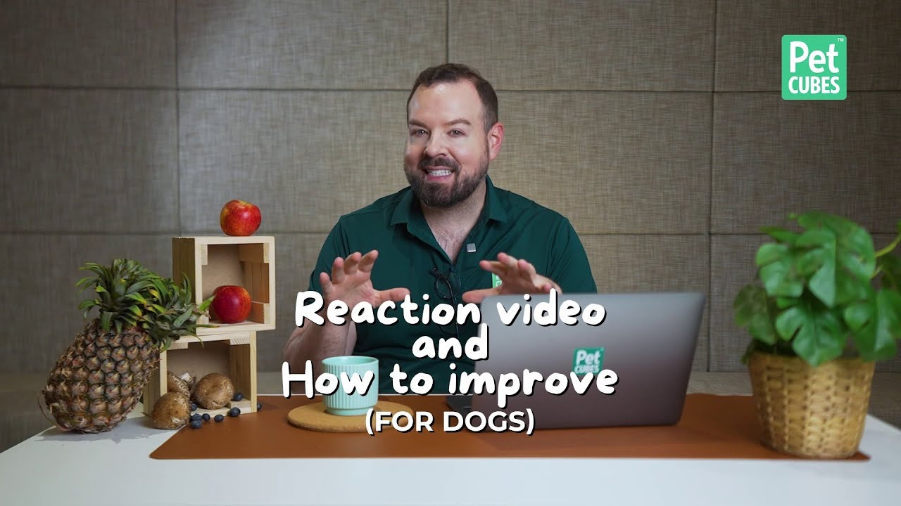 PhD Wildlife Nutritionist Reacts to Popular Home-Cooked Dog Food Recipe - With Tips to Improve