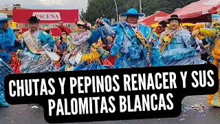 CHUTAS Y PEPINOS RENACER Y SUS PALOMITAS BLANCAS  - ENTIERRO DEL PEPINO Y DOMINGO DE TENTACIÓN