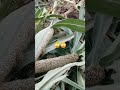 baithkar main a raha hun bajar ke khet mein