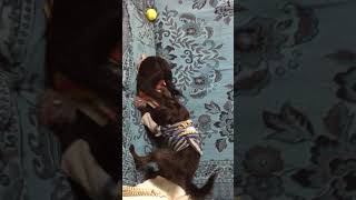 IMG 0978