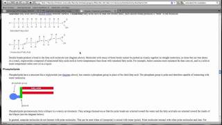 Lipids.m4v