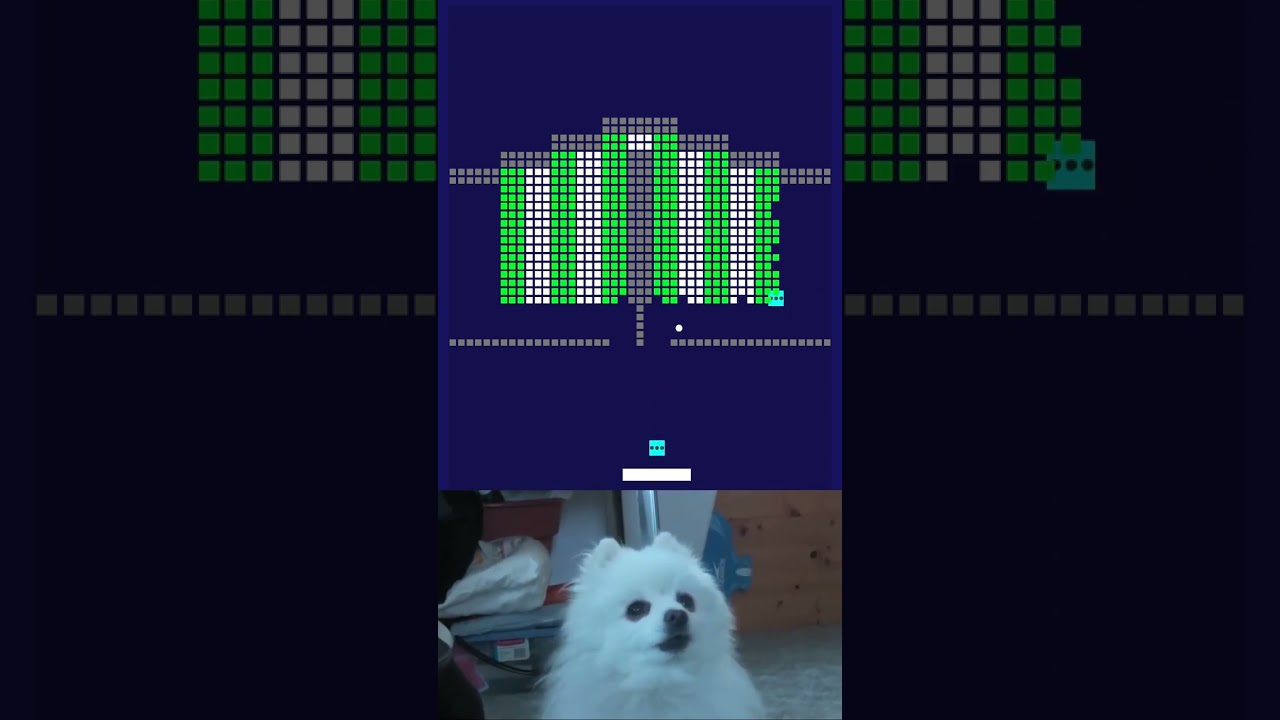 chipi chipi chapa chapa 