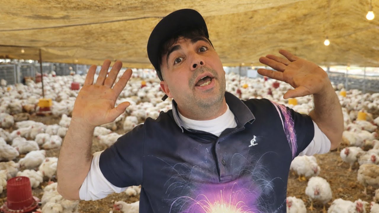 رسمياااا .. بعد #ازغنغان السلطات تمنع بيع المواشي و تبن و ذبـ،،ح الدواجن فـ سوق #سلوان .. 