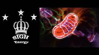 Mitochondrial healing and regeneration  EXTREMELY POWERFUL!!! (Energetically Programmed)