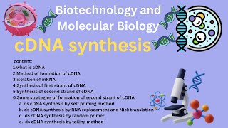 cDNA Synthesis Protocol by Reverse Transcription | Construction of recombinant cDNA from mRNA