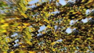 Amro Wahby Music    Soft Approach screenshot 1