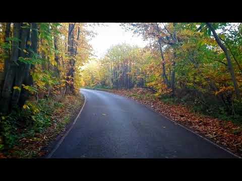 Short Clip of a Nice Road in Autumn.