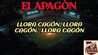 Tribuna - El Apagón