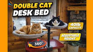 Double Cat Desk Bed Review 🐱 360° Rotating Kitten Hammock That Holds 40lbs!