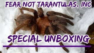 Fear Not Tarantulas Unboxing + Shoutouts