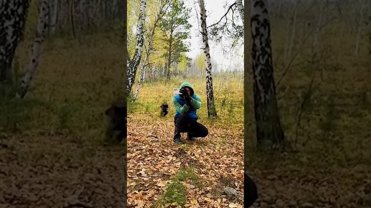 Heartwarming Moments: Animals Saving Humans in Incredible Ways!