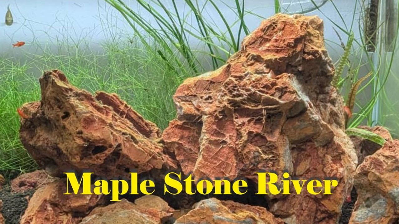 Maple Stone River - Build Video