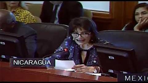 Intervencin de la embajadora Ruth Tapia en la sesi...