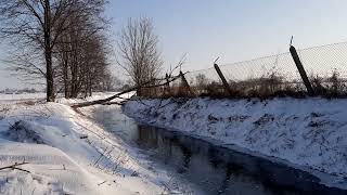 Zima na polskich polach. Polska. Poland. Przyroda. Pogoda Film Inowrocław Aleksandrów Kujawski Toruń