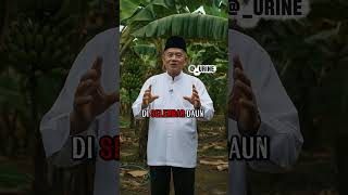 cara mengetahui pelaku sihir #doaharian