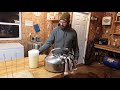 Milking Jersey cows with Surge bucket milker