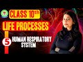 Life processes 05 | Breathing in Humans| Respiration in Fishes | All Concepts &amp; PYQs | Class 10th