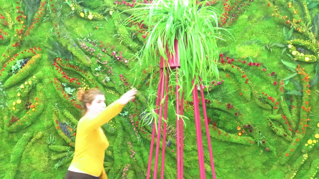 REHEARSAL SYNAESTHESIA II PLANT TECH ALTAR