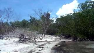 NORTH VERDE GREEN ISLAND