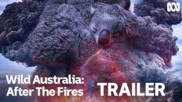 Wild Australia: After the Fires | Official Trailer