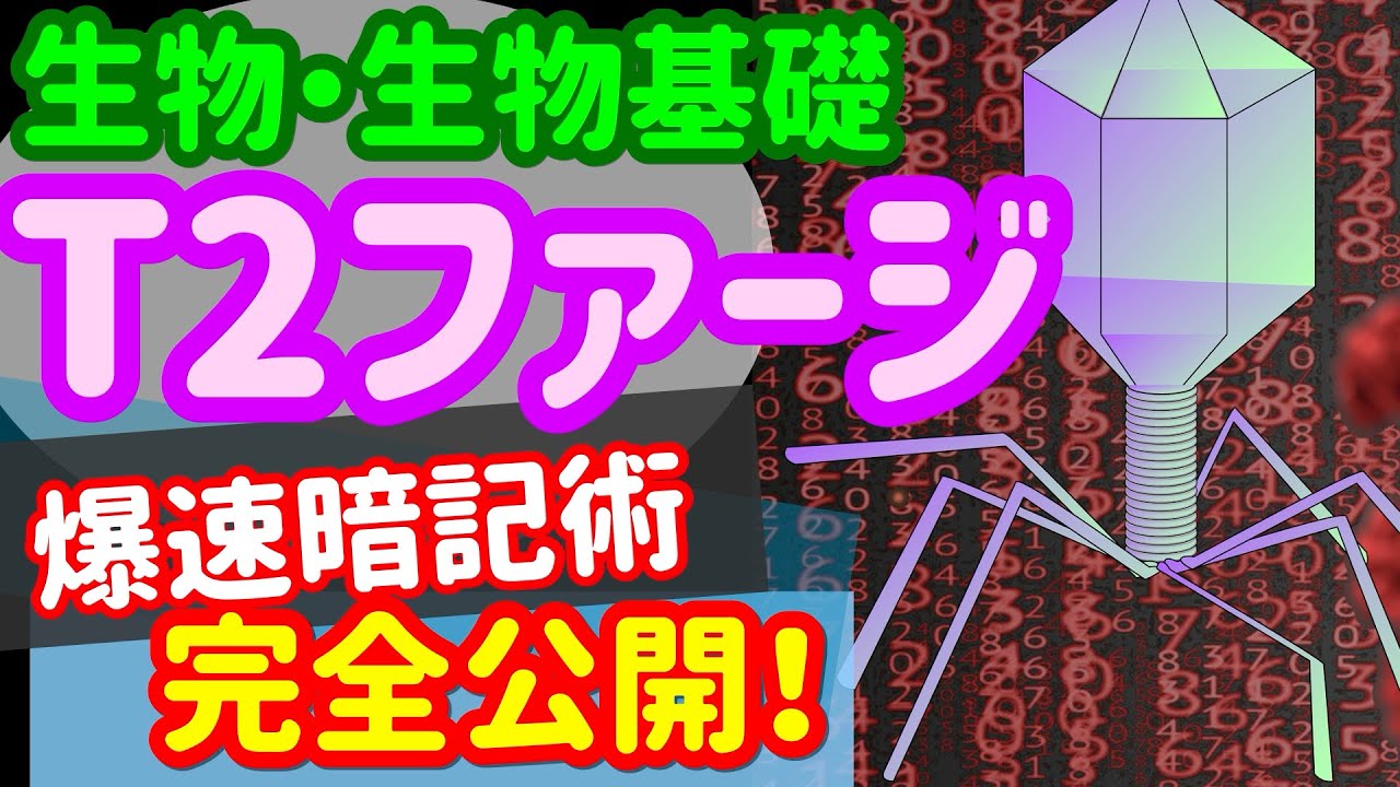 生物基礎 43】遺伝子【T2ファージ】を宇宙一わかりやすく - YouTube