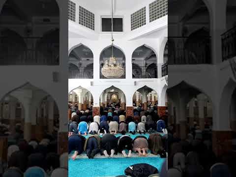 تلاوه خاشعه للقارئ الشيخ عبد النور رحيم صلاة الفجر