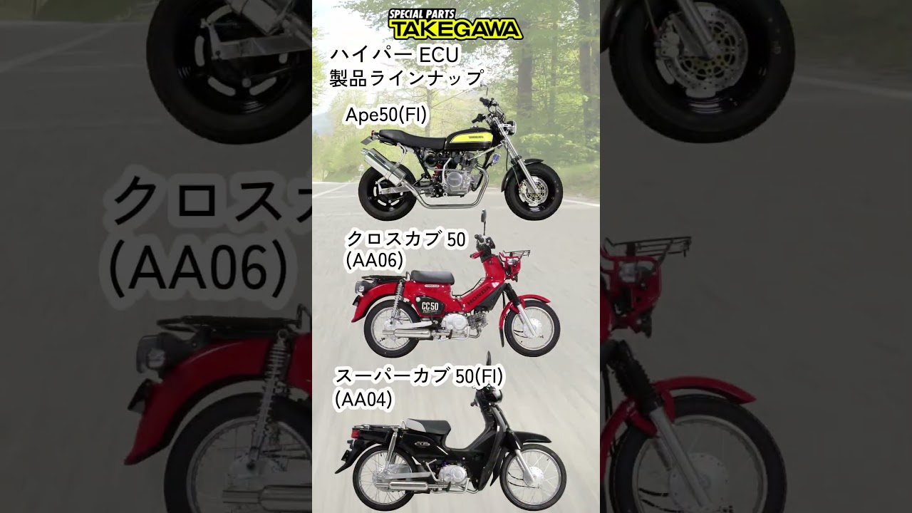 武川 Ape50(FI) Ape50(FI)Type D ハイパーECU SP05-04-0207 SPECIAL 
