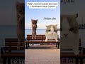 POV : Comment les femmes choisissent leur copain🙀💀 #humour #chat #faitespercersvp #pov