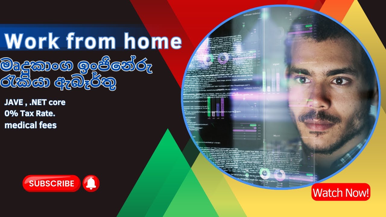 Software Engineer Remote Jobs | Work from Home Job Vacancies 2024 Sri Lanka | Sinhala 💼👩‍🏫👨‍🏫