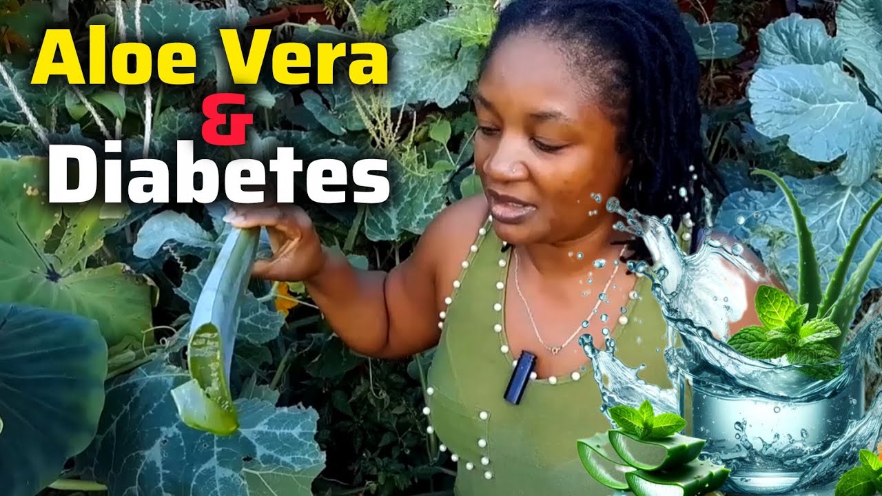 aloe vera für was alles gut Aloe Vera Gel – 100% Feuchtigkeit [Kühlend & Pur]