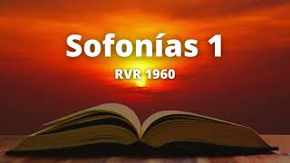 Zephaniah 1 - Reina Valera 1960 (Audio Bible) screenshot 4