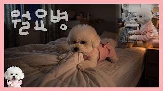 월요병 퇴치 전문가