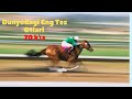 Dunyodagi Eng Tez Otlari 70 км / соат!  Самая быстрая лошадь в мире The Fastest Horse in the