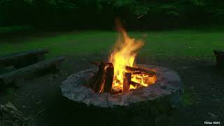 Lagerfeuer vor Einbruch der Dunkelheit im Wald. 4K (10 Stunden) 🔥🌳
