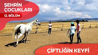 Şehrin Çocukları TRT EBA 12. Bölüm#çiftliğinkeyfi screenshot 4
